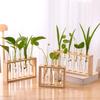 Wall-Mounted Rustic Wooden Hydroponic Flower Vase for Minimalist Living Room Decor