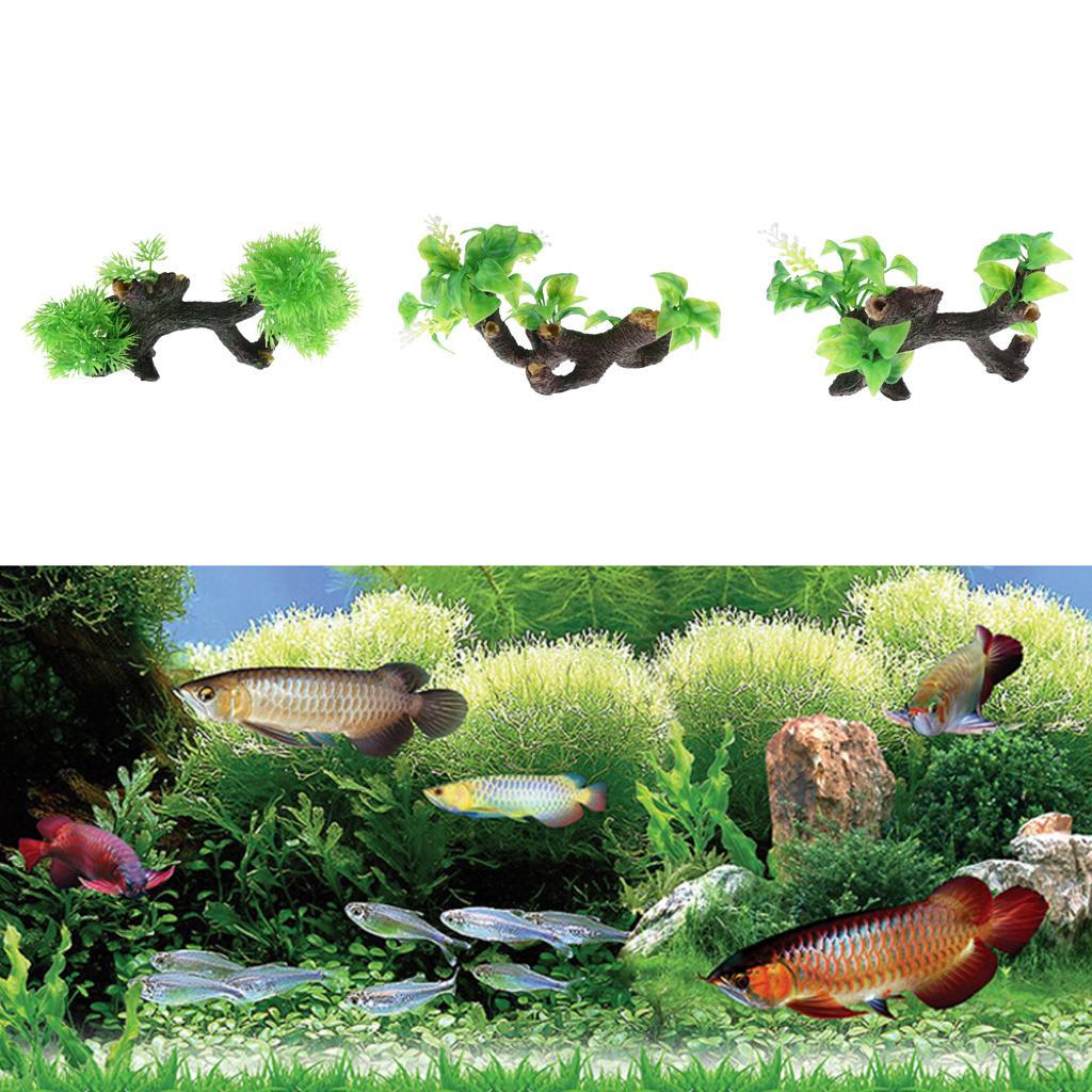 on Driftwood Freshwater Live Aquarium Plant Decorations Tank