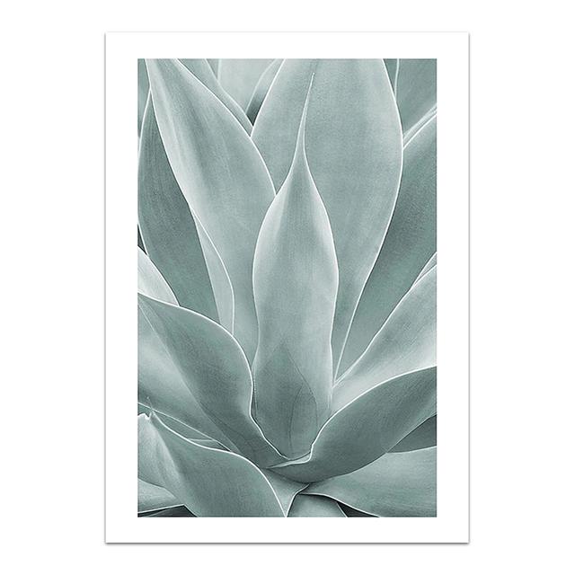 Palm Leaves Plant Art Canvas Painting Aloe Botanical Posters and Prints Modular Wall Pictures for Living Room Home Decoration