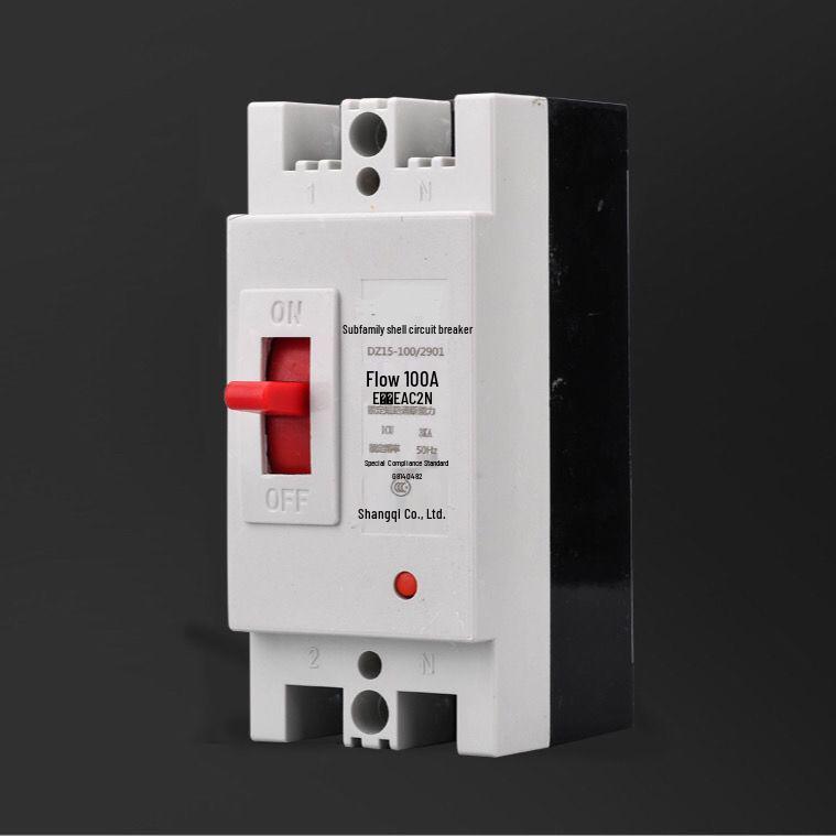 Renmin DZ15 Dual/Triple-Phase Circuit Breaker with Leakage Protection