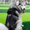 Dog Vest Adjustable Training Harness for Large Medium Dogs Backpack Strong Heavy Duty Harness Soft Handle