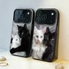 F-Fluffy and C-Cute Cat Phone Case For iPhone17,16,15,14,13,12,11,Pro,MAX White Matte Shockproof Cover