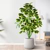 Plastic Material Fake Palm Plants Large Size Plastic Shrub Leaves  For Outdoor Decor