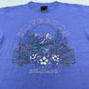 Vintage 90s SILVERTON COLORADO NATURE T-Shirt MEDIUM Mountain Flower