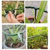Garden Plant Support Cage Plie Flower Stand Holder Plastic Semicircle Green  House Orchard Fixing Rod  Gardening Bonsai Tool