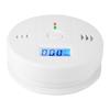 High Quality Carbon Monoxide Alarm CO Smoke Intelligent Sensor Poisoning Gas Warning  Detector
