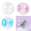Exercise Ball for Hamsters And Guinea Pigs, Breathable Ball, Transparent Wheel, Toy