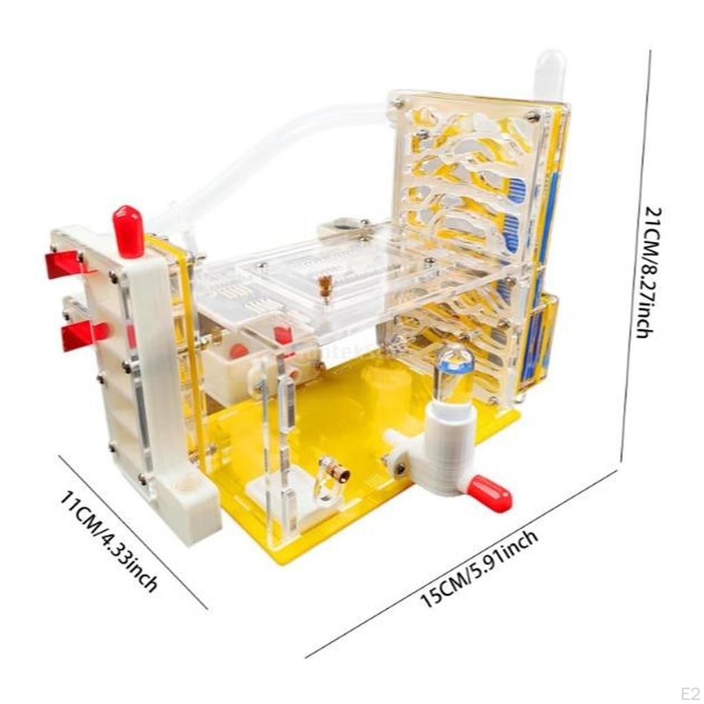 Farm Castle Habitat Science Adults Student with Feeding Area Modern Observation Educational Toy