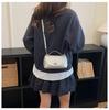 Chic Women's Crossbody Bag: 2026 Spring/Summer Collection - Stylish, Versatile, Perfect for Everyday Commute.