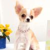Zinc Zinc Alloy  Dog Chain Collar Adjustable Pet  Necklace Luxury Shining Pet Collars  Puppy