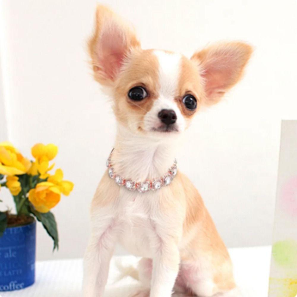 Zinc Zinc Alloy Dog Chain Collar Adjustable Pet Necklace Luxury Shining Pet Collars Puppy
