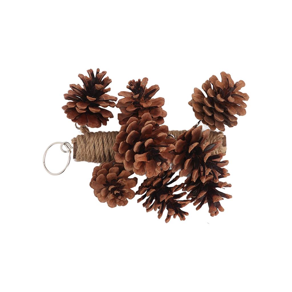 Birds Bite Toy Wooden Pine Cone Hanging Parrots Beak Grinding Toy with Metal Hook for Cage