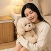 Cartoon Poodle Cute Curly Teddy Dog Plush Doll 30-40Cm Soft Sitting Collar Animal Stuffed Toy Home Decor Gift For Children