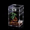 Transparent Acrylic Reptile Breeding Box 5 Size Structure Plate Insect Breathable Terrarium for Garden Cultivate Insect Breeding