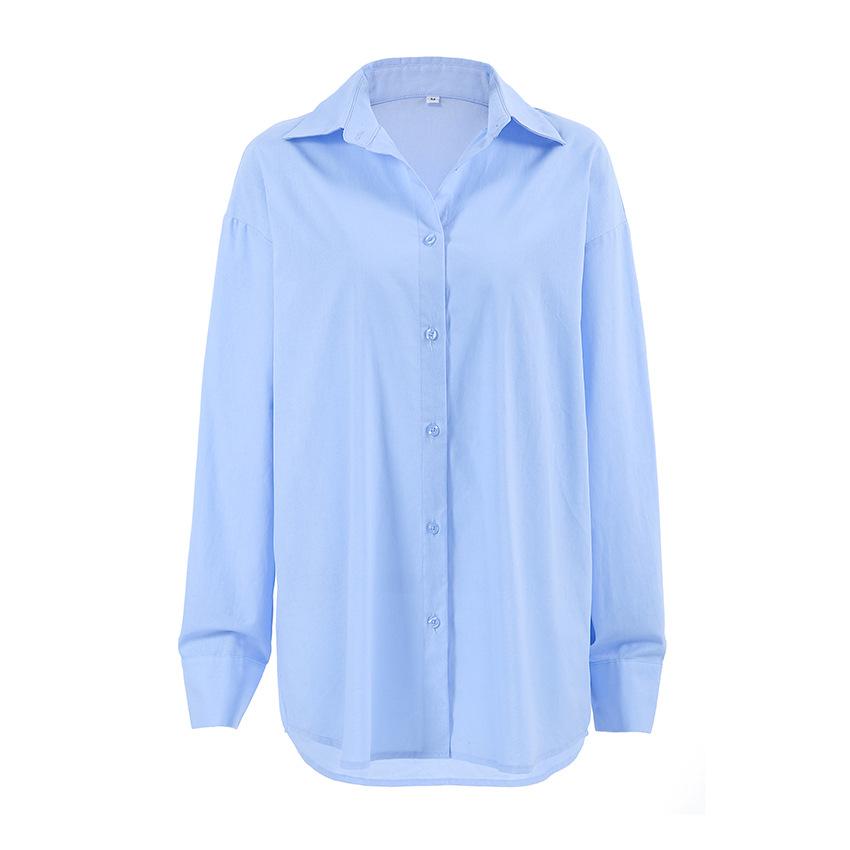 Light Blue Design Sense Lapel Women's Casual Shirt 2025 Fall and Winter New Niche Women's Tops