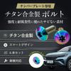 RENPA Titanium Alloy License Plate Bolt Smart Design Vehicle Inspection Compatible (Aurora Bolt Length 0.8 Inch (20 Mm)