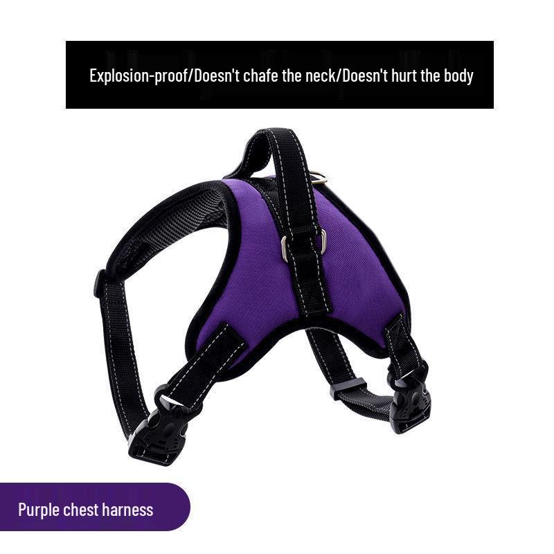 Golden Retriever & Labrador Medium-Large Dog Harness-Leash with Thick, Eight-Strand, Explosion-Proof Rope