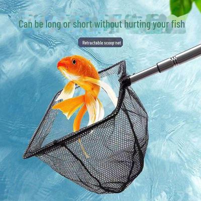 Akvariedjur – Akvarievård & Skötsel