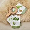 Educational Toys Magnifying Glass Toys Wooden Plant Cognition Cards  Parent-Child