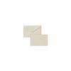 Standard Greeting Card Saul Sadoch Rex 8319AVO Beige