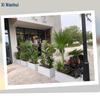 Outdoor Garden Planter Box
