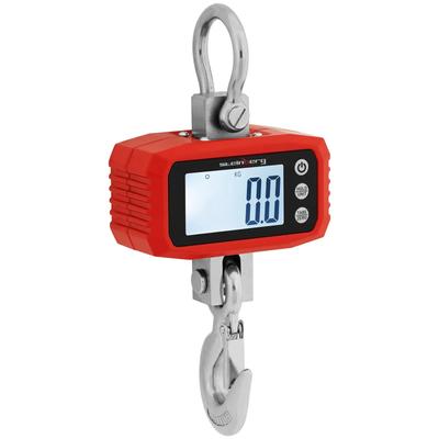 LCD Hanging Warehouse Scale 1000 Kg 100 G