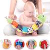 Musical Sozzy Plush Caterpillar Baby Toy Soft Sensory Sound Infant Newborn Toys