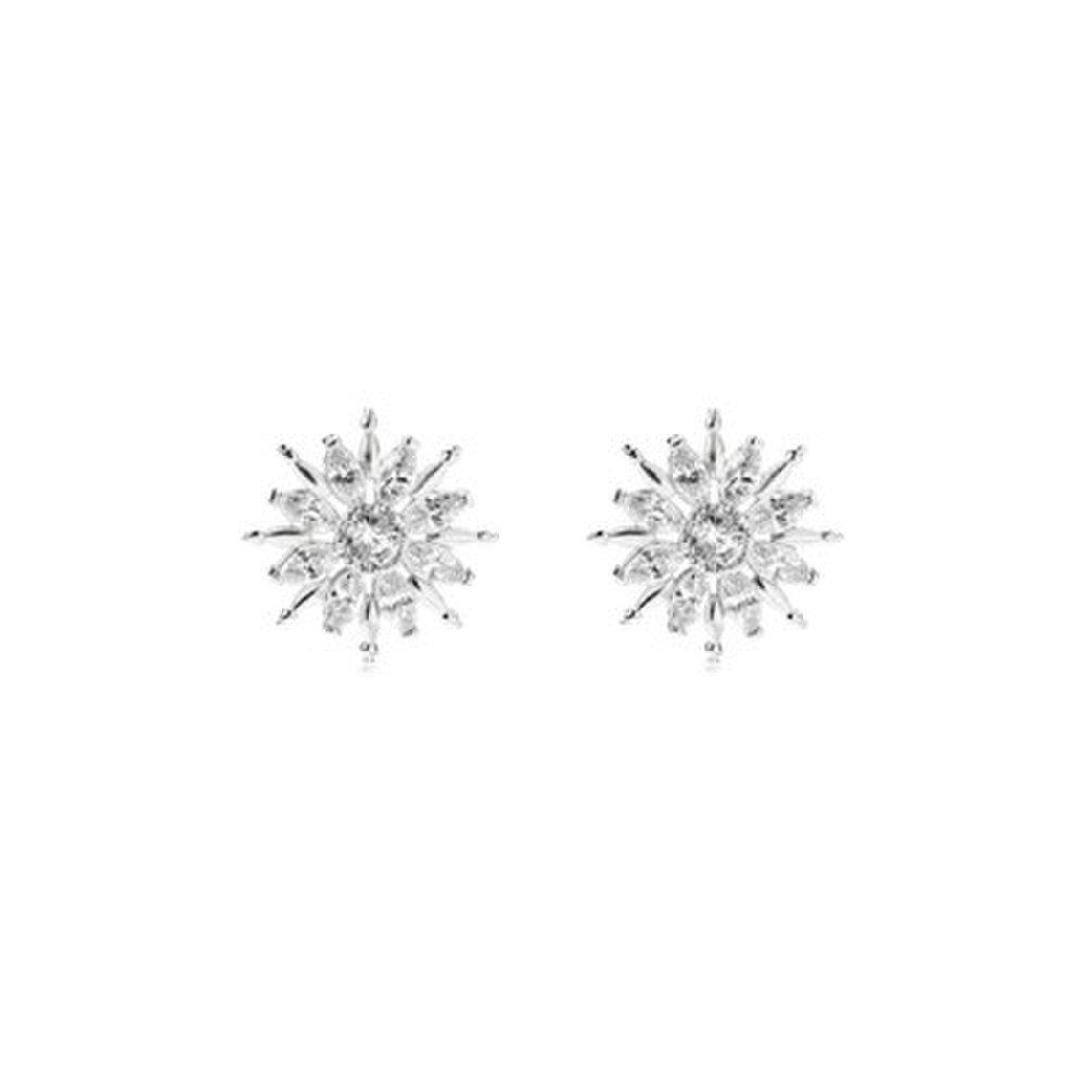 Snow Flake E_(1086144)