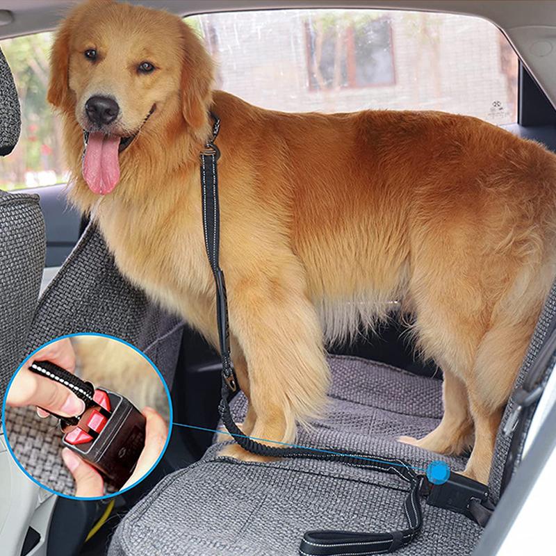 Nylon reflective multi-functional retractable Reflective Shock Absorbing Pet Running Training Large Dog Leash Car safety buckle
