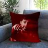 Pillowcase Toon Gift Cushion Cover Bedroom Home Sofa Chair Seat Decor Pillow Case Cool Logo L-Leclerc 16