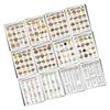 Diabetes Meal Planner Foot List Chart Set of 12 Dietary Reference Sheets for Diabetics Healthy Eating Habits 8x10Inch