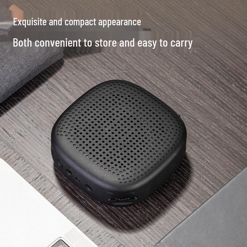 Deli Portable Voice Amplifier