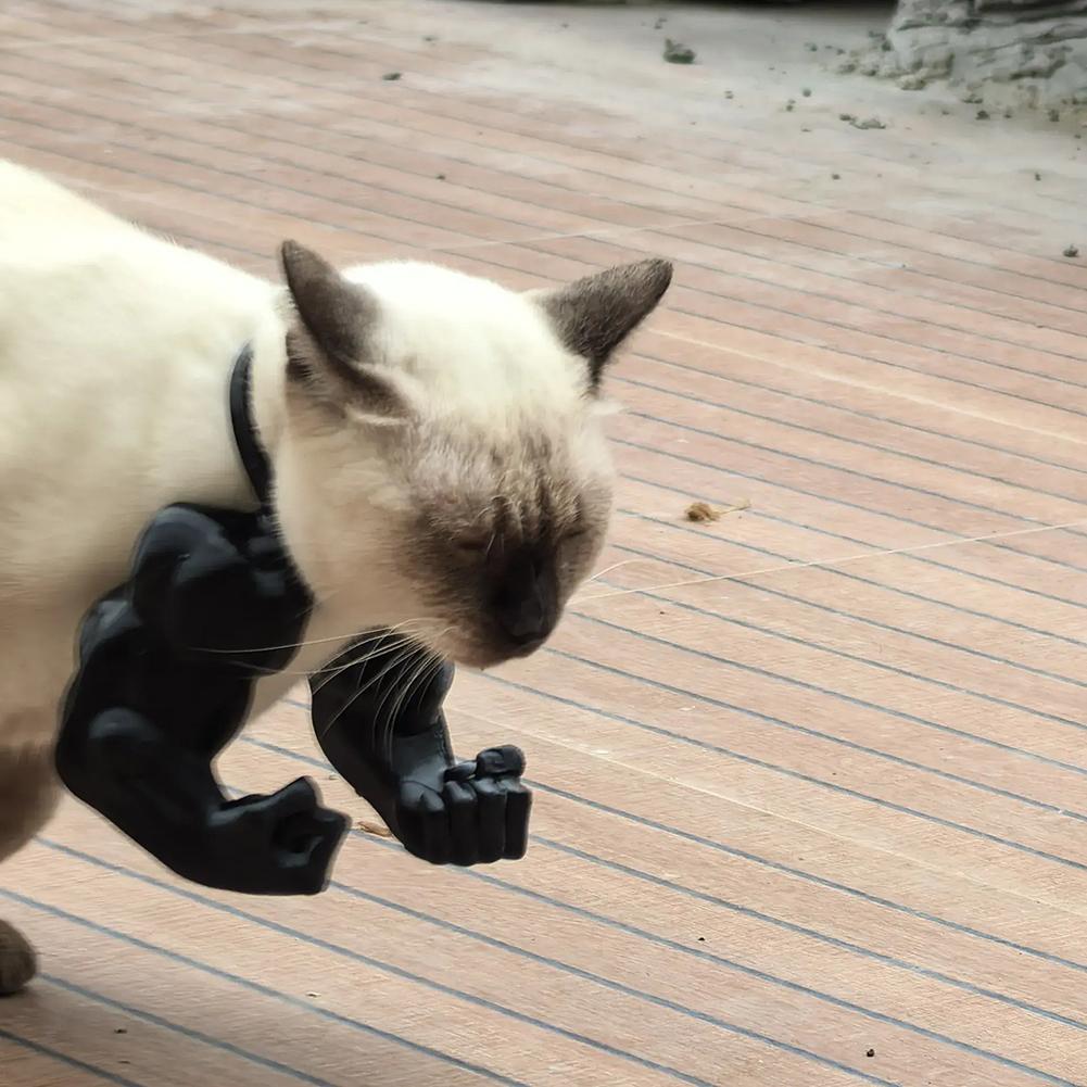 Cat Muscle Arm 3D Printed Cat Neck Hanging Decorative Toy with Muscles Cosplay for Kitten Party Halloween Costume Accessories