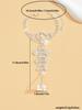 1 Women's Claw Chain Series Trendy Geometry Finger Chain Dating Tourism Banquet Party Holiday Dressing Gift