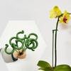 10Pcs Plastic Plant Supports Flower Stand Reusable Protection Fixing Tool Gardening Supplies for Vegetable Holder Bracket