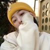 Women's Autumn and Winter Korean Version Ins Trendy Fashion Warm Men Versatile Student P Letter Casual Knitted Cold Hat