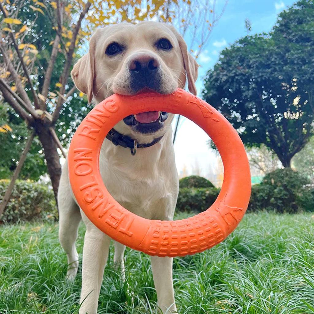 Neuer interaktiver orangefarbener Haustier-Frisbee-Trainingsring-Ziehring 1 Stück - Strapazierfähiges Hundespielzeug für widerstandsfähige Hunde - Ball-Trainingsspielzeug für Haustiere
