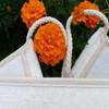 Exfoliating Loofah Back Scrubber