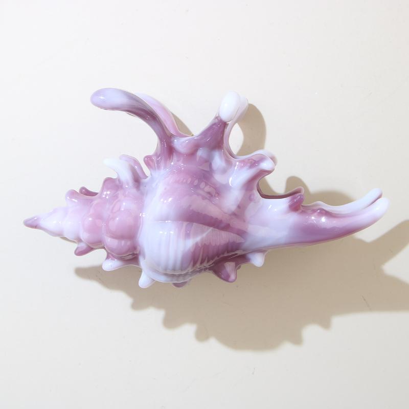 1Pcs Hair Claw Elegant Shark Clip Creative Conch Hairpin Colorful Gift For Summer Beach Headwear Hair Accessories