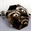 Cute Raccoon  Pattern, Automatic Folding Umbrella, Portable and Foldable Design, 8 Ribs, a Christmas or Birthday Gift.