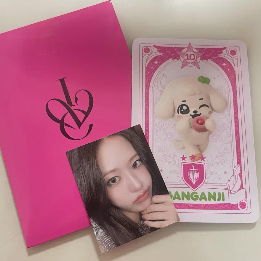 

Ive Crispy Donuts Eugene Photo Card