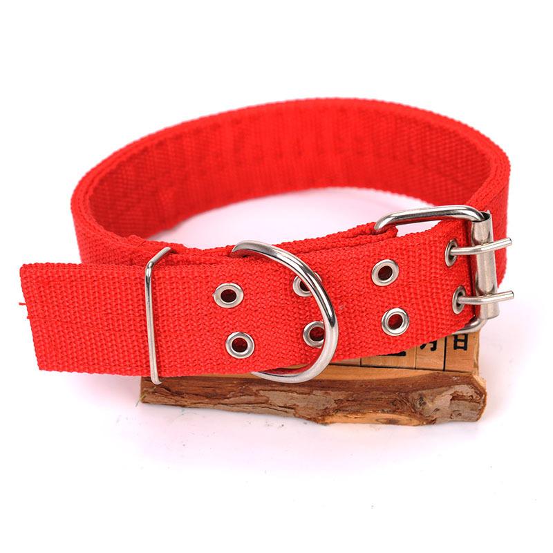 Verstellbares Martingale Hundehalsband – Weiches Neopren, Atmungsaktiv Für Kleine Bis Große Hunde