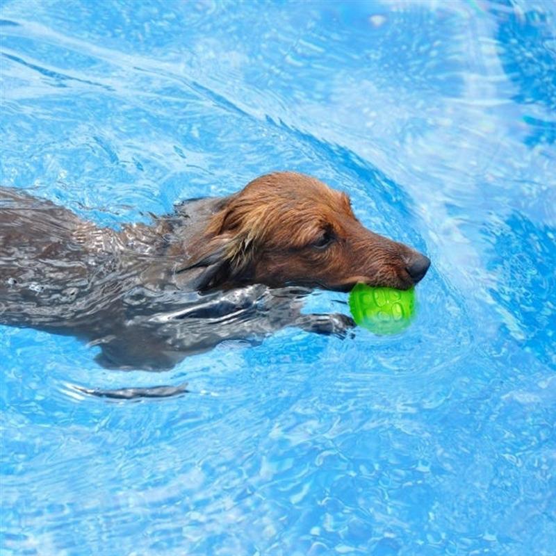 Haustier Hund Katze Welpe Quietschspielzeug Punkte Quietschende Zahnpflegebälle Spielbälle Haustier Zahnpflege Kauspielzeug Haustier Kauspielzeug Zubehör