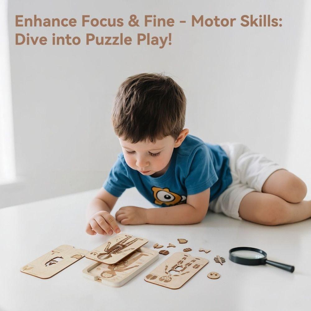 Organ Model Montessori Jigsaw Puzzle Human Structure Human Structure Toy  Science Learning