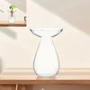 Colorful Transparent Avocado Hydroponic Vase Glass Avocado Seed Starter Vase Plant Seed Growing Kit Gardening Lovers Home Decor