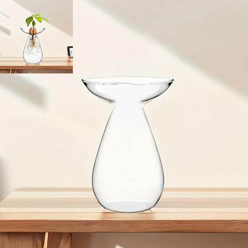 Colorful Transparent Avocado Hydroponic Vase Glass Avocado Seed Starter Vase Plant Seed Growing Kit Gardening Lovers Home Decor