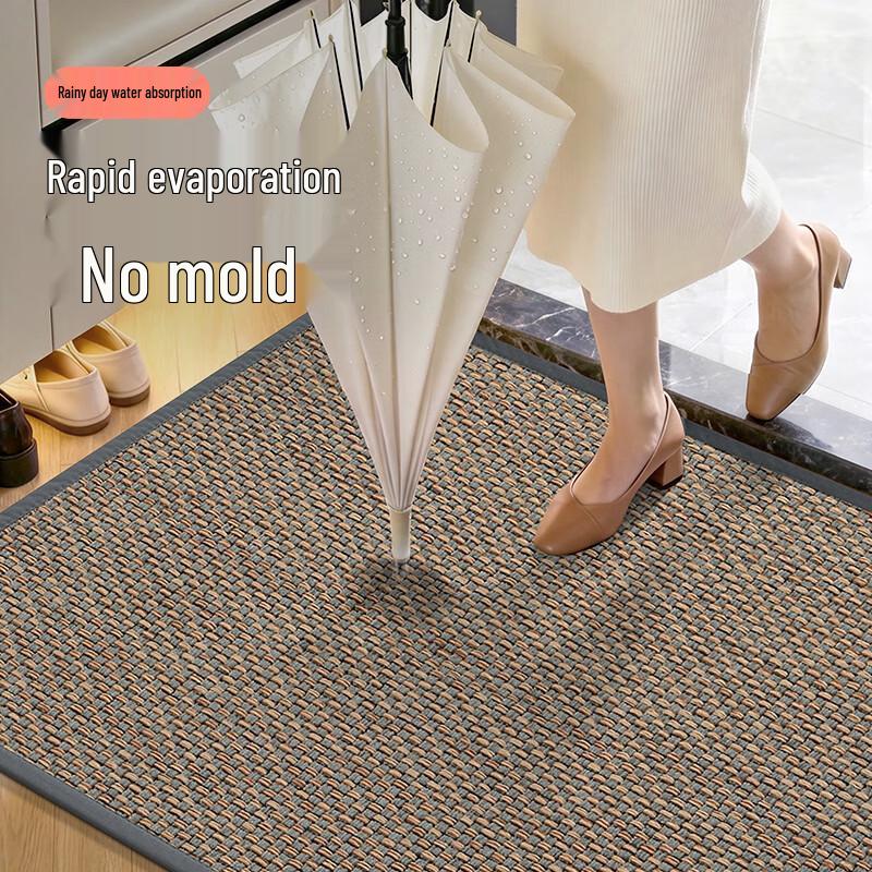 Dajiang Entrance Door Mat