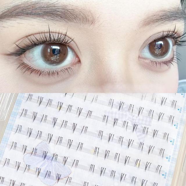 denivyse - Natural Bottom Multipack Individual False Eyelashes Y1 - Black - One Size