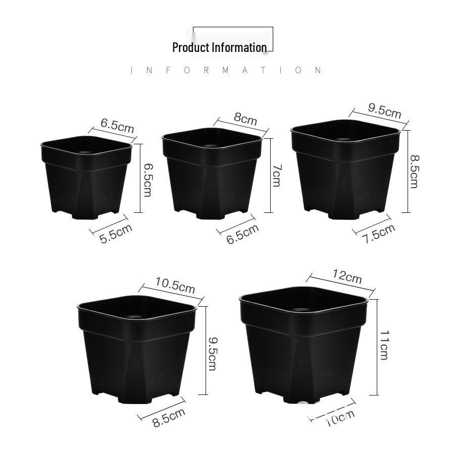 Frosted Plastic Square Succulent Pot with Clear Lid for Moisture Retention