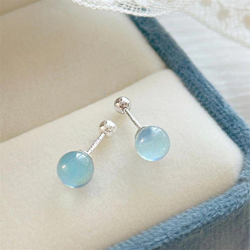 Women's High-End Plain Hoop Earrings: Light Luxury Ear Drops & Studs, Niche Design for Autumn/Winter.